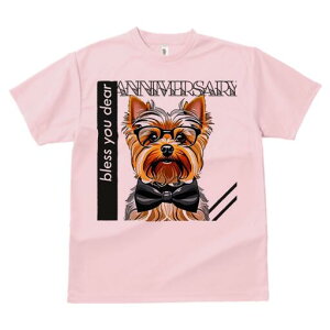 [NV[eA TVc  j[NfUCY LbY t@  t vg lJWA 킢 lԗp Mtg I ҏ΍ Kl [NV[eA lN