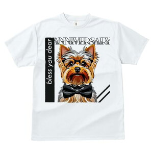 [NV[eA TVc  j[NfUCfB[X t@  t vg lJWA 킢 lԗp Mtg I ҏ΍ Kl [NV[eA lN^