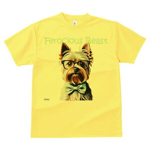 [NV[eA TVc  j[NfUCfB[X t@  t vg lJWA 킢 lԗp Mtg I ҏ΍ Kl [NV[eA lN^