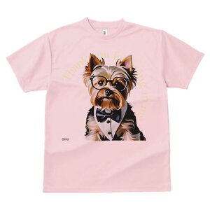 [NV[eA TVc  j[NfUCfB[X t@  t vg lJWA 킢 lԗp Mtg I ҏ΍ Kl [NV[eA lN^