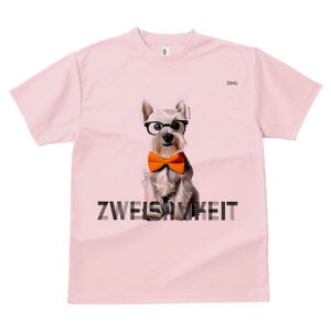 ~j`AViEU[ TVc  j[NfUCfB[X t@  t vg lJWA 킢 lԗp Mtg I ҏ΍ Kl ~j`AViEU[ 