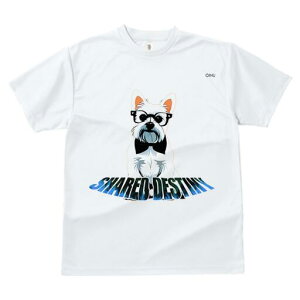 EGXgnChzCgeA TVc  j[NfUCY LbY t@  t vg lJWA 킢 lԗp Mtg I ҏ΍ Kl EGXgn