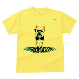 EGXgnChzCgeA TVc  j[NfUCY LbY t@  t vg lJWA 킢 lԗp Mtg I ҏ΍ Kl EGXgn