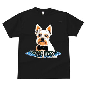 EGXgnChzCgeA TVc  j[NfUCfB[X t@  t vg lJWA 킢 lԗp Mtg I ҏ΍  EGXgnCh