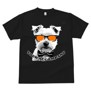 EGXgnChzCgeA TVc  j[NfUCfB[X t@  t vg lJWA 킢 lԗp Mtg I ҏ΍ TOX EGXgn