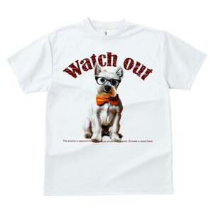 EGXgnChzCgeA TVc  j[NfUCfB[X t@  t vg lJWA 킢 lԗp Mtg I ҏ΍ Kl EGXgnC