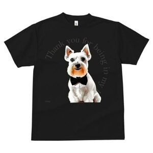 EGXgnChzCgeA TVc  j[NfUCY LbY t@  t vg lJWA 킢 lԗp Mtg I ҏ΍ EGXgnCh