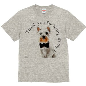 EGXgnChzCgeA TVc  j[NfUCfB[X t@  t vg lJWA 킢 lԗp Mtg I ҏ΍ EGXgnChz