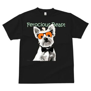 EGXgnChzCgeA TVc  j[NfUCfB[X t@  t vg lJWA 킢 lԗp Mtg I ҏ΍ TOX EGXgn