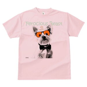 EGXgnChzCgeA TVc  j[NfUCfB[X t@  t vg lJWA 킢 lԗp Mtg I ҏ΍ TOX EGXgn