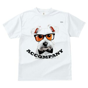 EGXgnChzCgeA TVc  j[NfUCfB[X t@  t vg lJWA 킢 lԗp Mtg I ҏ΍ Kl EGXgnC