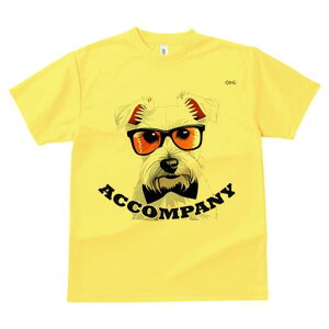 EGXgnChzCgeA TVc  j[NfUCfB[X t@  t vg lJWA 킢 lԗp Mtg I ҏ΍ Kl EGXgnC