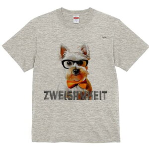 EGXgnChzCgeA TVc  j[NfUCfB[X t@  t vg lJWA 킢 lԗp Mtg I ҏ΍ Kl EGXgnC