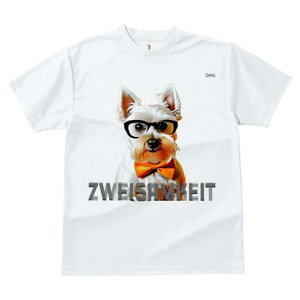 EGXgnChzCgeA TVc  j[NfUCfB[X t@  t vg lJWA 킢 lԗp Mtg I ҏ΍ Kl EGXgnC