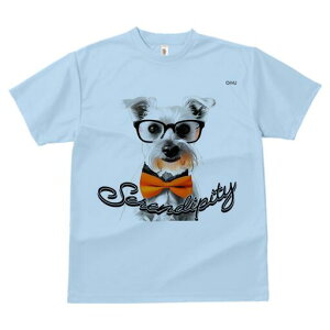 ~j`AViEU[ TVc  j[NfUCY LbY t@  t vg lJWA 킢 lԗp Mtg I ҏ΍ Kl ~j`AViEU