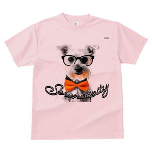 ~j`AViEU[ TVc  j[NfUCY LbY t@  t vg lJWA 킢 lԗp Mtg I ҏ΍ Kl ~j`AViEU