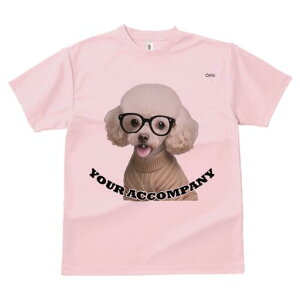 gCv[h TVc  j[NfUCfB[X t@  t vg lJWA 킢 lԗp Mtg I ҏ΍ Kl gCv[h Z[^[