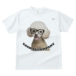 gCv[h TVc  j[NfUCfB[X t@  t vg lJWA 킢 lԗp Mtg I ҏ΍ Kl gCv[h Z[^[