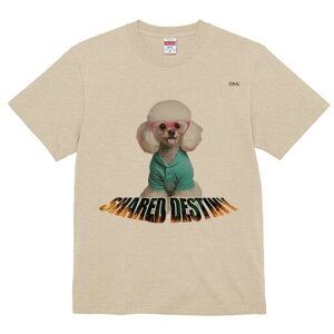 v[h TVc  j[NfUCY LbY t@  t vg lJWA 킢 lԗp Mtg I ҏ΍ Kl v[h 