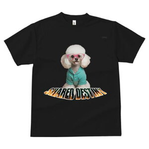 v[h TVc  j[NfUCfB[X t@  t vg lJWA 킢 lԗp Mtg I ҏ΍ Kl v[h 