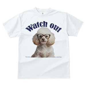 v[h TVc  j[NfUCfB[X t@  t vg lJWA 킢 lԗp Mtg I ҏ΍ Kl v[h