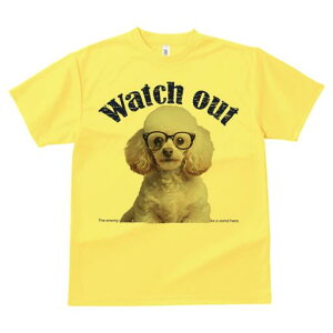 v[h TVc  j[NfUCfB[X t@  t vg lJWA 킢 lԗp Mtg I ҏ΍ Kl v[h