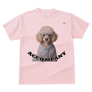 gCv[h TVc  j[NfUCfB[X t@  t vg lJWA 킢 lԗp Mtg I ҏ΍ Kl gCv[h Z[^[