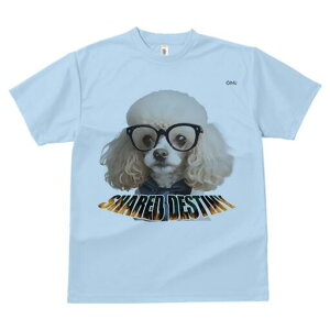 gCv[h TVc  j[NfUCfB[X t@  t vg lJWA 킢 lԗp Mtg I ҏ΍ Kl gCv[h lN^C