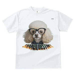 gCv[h TVc  j[NfUCY LbY t@  t vg lJWA 킢 lԗp Mtg I ҏ΍ Kl gCv[h lN^C