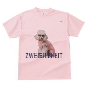 v[h TVc  j[NfUCfB[X t@  t vg lJWA 킢 lԗp Mtg I ҏ΍ Kl v[h Z[^[