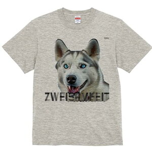 VxAnXL[ TVc  j[NfUCfB[X t@  t vg lJWA 킢 lԗp Mtg I ҏ΍ VxAnXL[