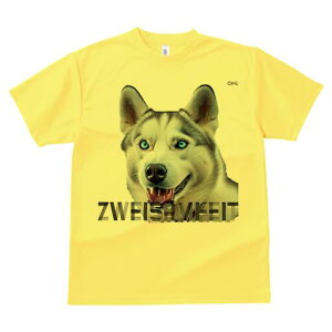 VxAnXL[ TVc  j[NfUCfB[X t@  t vg lJWA 킢 lԗp Mtg I ҏ΍ VxAnXL[