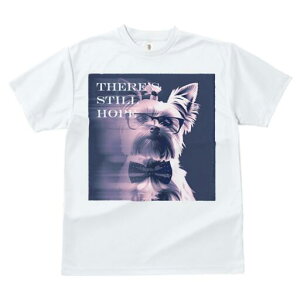 [NV[eA TVc  j[NfUCfB[X t@  t vg lJWA 킢 lԗp Mtg I ҏ΍ Kl [NV[eA lN^