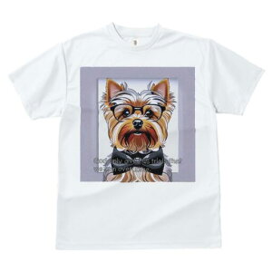 [NV[eA TVc  j[NfUCfB[X t@  t vg lJWA 킢 lԗp Mtg I ҏ΍ Kl [NV[eA lN^