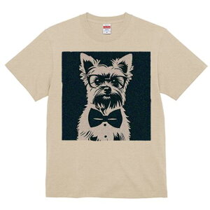 [NV[eA TVc  j[NfUCY LbY t@  t vg lJWA 킢 lԗp Mtg I ҏ΍ Kl [NV[eA lN