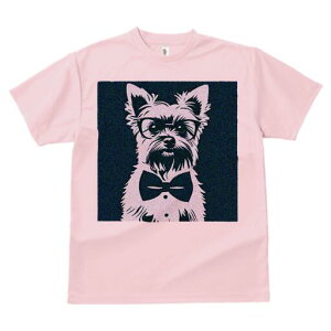 [NV[eA TVc  j[NfUCfB[X t@  t vg lJWA 킢 lԗp Mtg I ҏ΍ Kl [NV[eA lN^