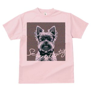 [NV[eA TVc  j[NfUCfB[X t@  t vg lJWA 킢 lԗp Mtg I ҏ΍ Kl [NV[eA lN^