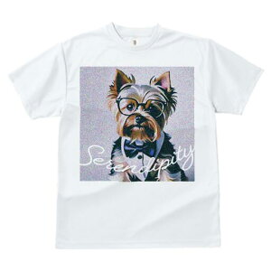 [NV[eA TVc  j[NfUCfB[X t@  t vg lJWA 킢 lԗp Mtg I ҏ΍ Kl [NV[eA lN^