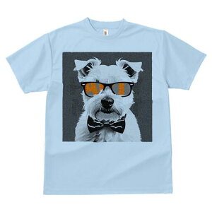 EGXgnChzCgeA TVc  j[NfUCfB[X t@  t vg lJWA 킢 lԗp Mtg I ҏ΍ TOX EGXgn