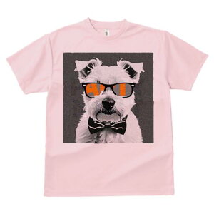 EGXgnChzCgeA TVc  j[NfUCY LbY t@  t vg lJWA 킢 lԗp Mtg I ҏ΍ TOX EGX