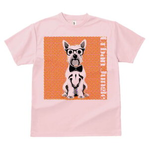 EGXgnChzCgeA TVc  j[NfUCY LbY t@  t vg lJWA 킢 lԗp Mtg I ҏ΍ Kl EGXgn