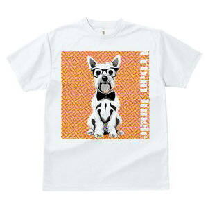 EGXgnChzCgeA TVc  j[NfUCfB[X t@  t vg lJWA 킢 lԗp Mtg I ҏ΍ Kl EGXgnC