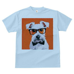 EGXgnChzCgeA TVc  j[NfUCfB[X t@  t vg lJWA 킢 lԗp Mtg I ҏ΍ Kl EGXgnC