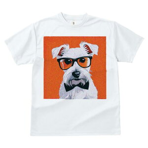 EGXgnChzCgeA TVc  j[NfUCfB[X t@  t vg lJWA 킢 lԗp Mtg I ҏ΍ Kl EGXgnC