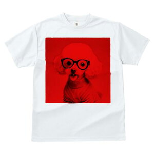 gCv[h TVc  j[NfUCY LbY t@  t vg lJWA 킢 lԗp Mtg I ҏ΍ Kl gCv[h Z[^[