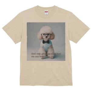 gCv[h TVc  j[NfUCY LbY t@  t vg lJWA 킢 lԗp Mtg I ҏ΍ Kl gCv[h lN^C Vc