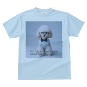 gCv[h TVc  j[NfUCfB[X t@  t vg lJWA 킢 lԗp Mtg I ҏ΍ Kl gCv[h lN^C Vc