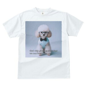 gCv[h TVc  j[NfUCfB[X t@  t vg lJWA 킢 lԗp Mtg I ҏ΍ Kl gCv[h lN^C Vc