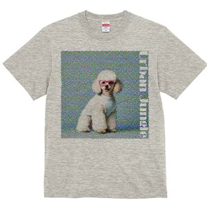 v[h TVc  j[NfUCfB[X t@  t vg lJWA 킢 lԗp Mtg I ҏ΍ Kl v[h 