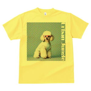 v[h TVc  j[NfUCfB[X t@  t vg lJWA 킢 lԗp Mtg I ҏ΍ Kl v[h 